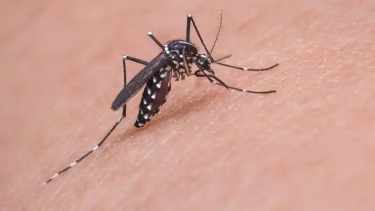 Agri-Land Crop Dusting Texas